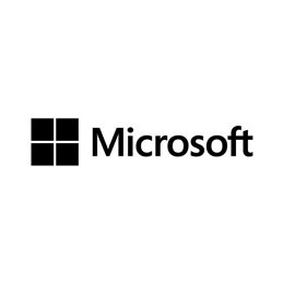MS WS19 (4-CORE) STD ADD LIC EMEA SW