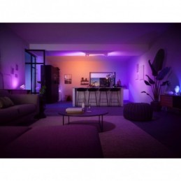 Centris Hue 4-spot white...
