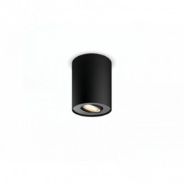 PILLAR HUE SINGLE SPOT...